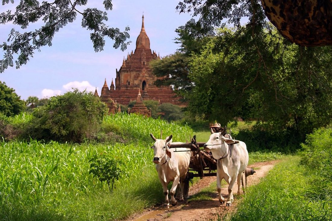 Introduction to doing business in Myanmar