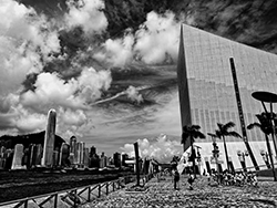 Overview of responsibilities of directors of companies listed on the Growth Enterprise Market of the Stock Exchange of Hong Kong Limited
