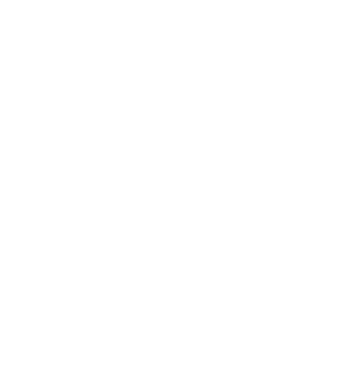 Leading Firm Legal 500 Award 2025